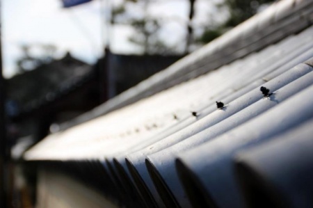 Zinguerie &agrave; Vigneux-de-Bretagne, les 5 erreurs &agrave; &eacute;viter absolument