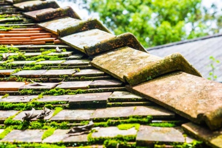 D&eacute;moussage de toiture &agrave; Vigneux-de-Bretagne, quand et comment ?